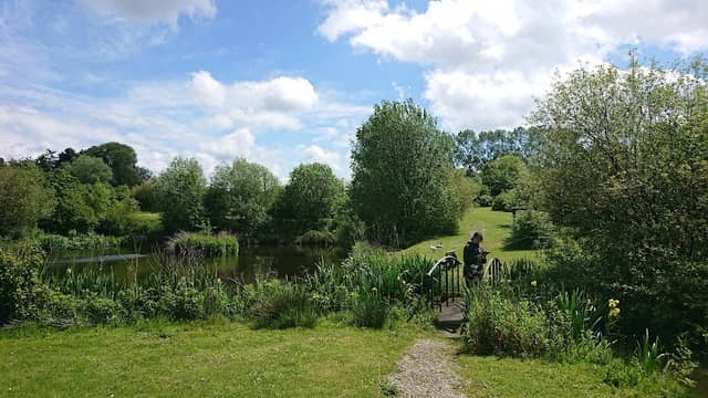 Etangs de Rebecq - Image 1