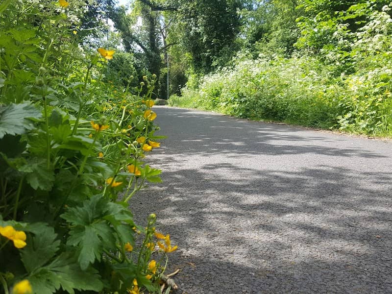 Nancy's Lane, Clane - Image 1