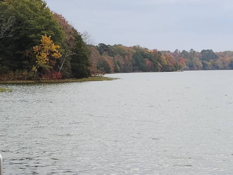 Lake Dardanelle - Image 1