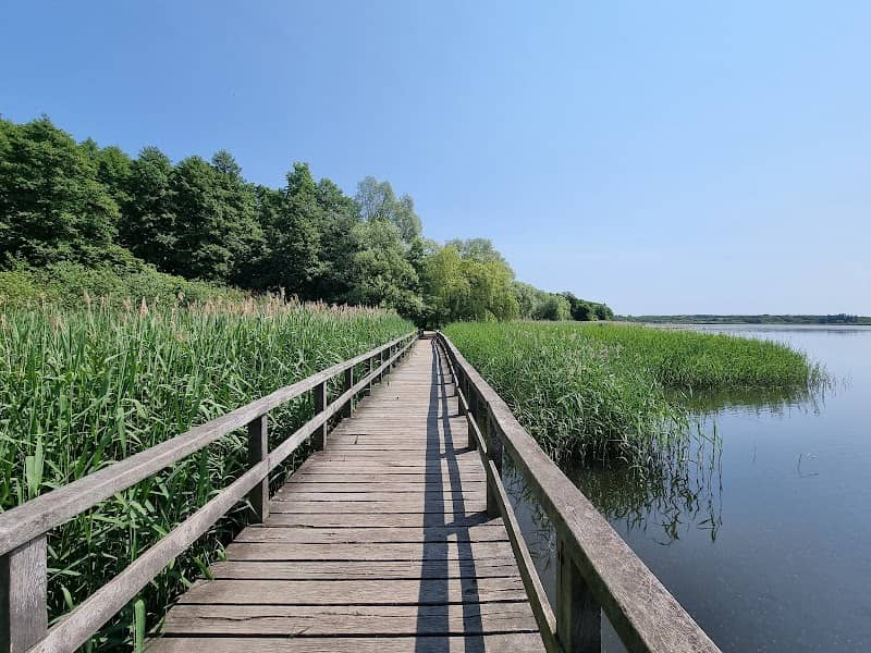 Blankensee Boardwalk - Image 1