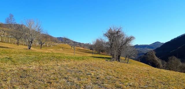 Antico Borgo del Colonnello di Sottocastello- Durlo di Crespadoro - Image 1