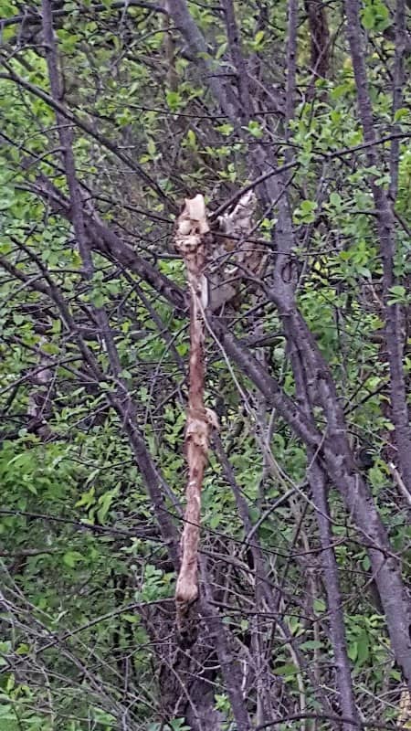 Drew's Nature Center - Image 2