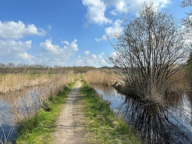 Museumpark - Image 1