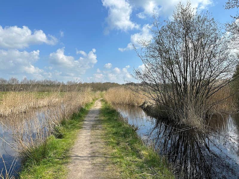 Museumpark - Image 1
