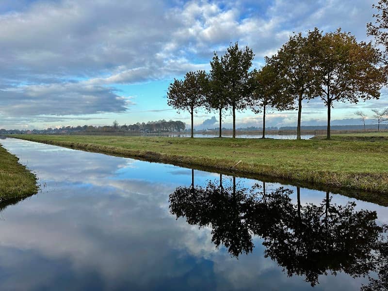 Museumpark - Image 2