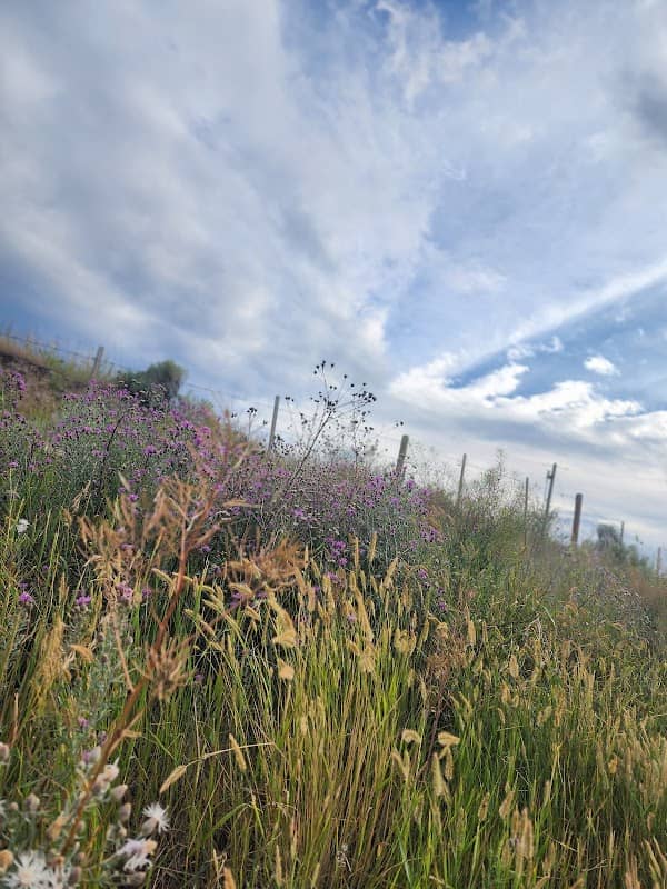 Pacific Way Park - Image 2