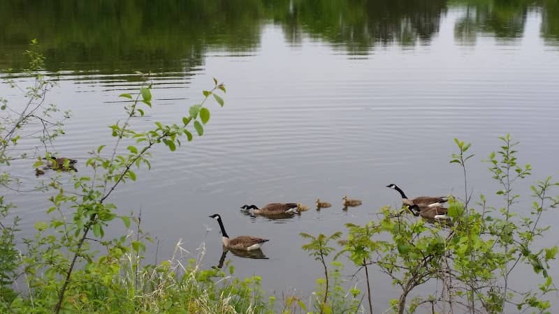 Lake Jonathan Park - Image 1
