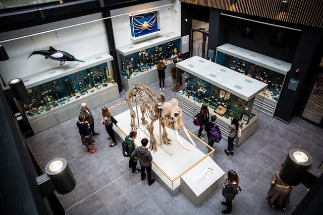 Cole Museum of Zoology - Image 2