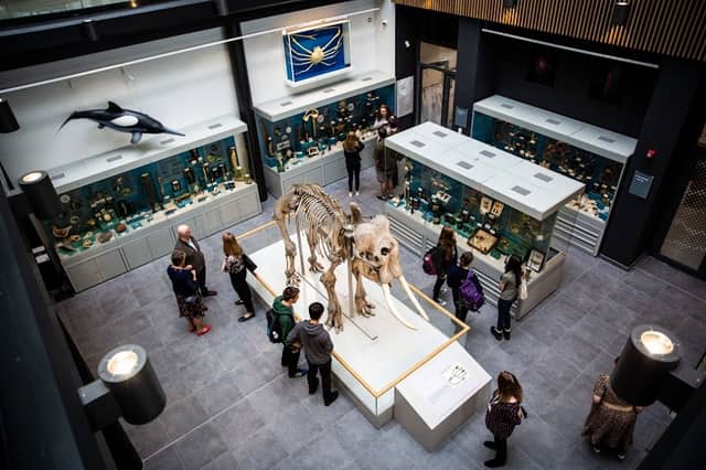Cole Museum of Zoology - Image 1
