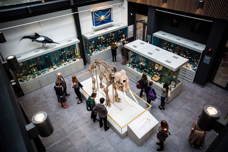 Cole Museum of Zoology - Image 1