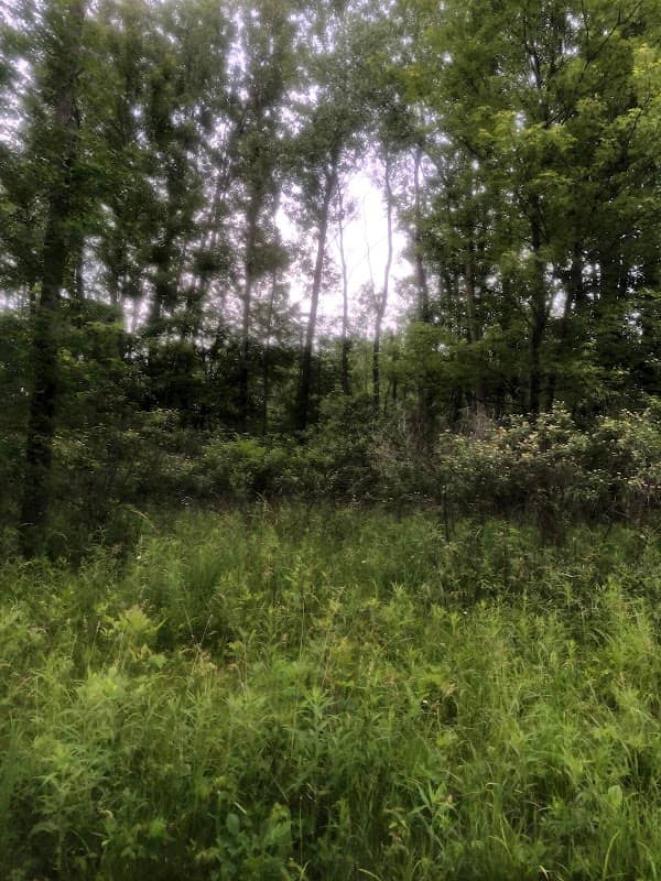 Creekview Trail - Image 2