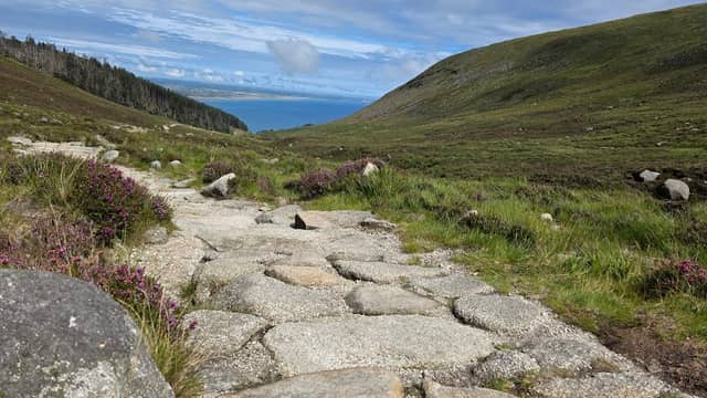The Saddle Trail - Image 3