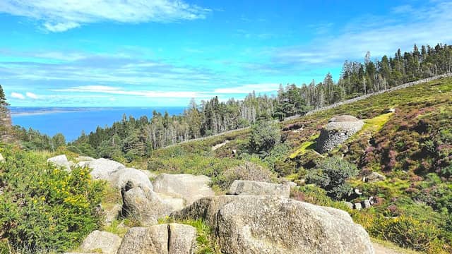 The Saddle Trail - Image 2