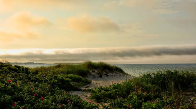 Long Beach - Image 1