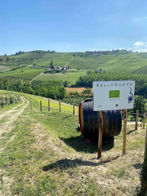 BELLONUOVO Big Barrel Bench - Image 1