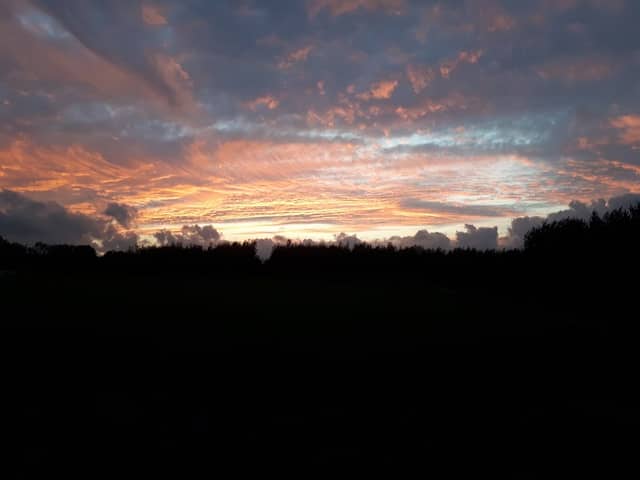 Killinghall Moor Country Park - Image 2