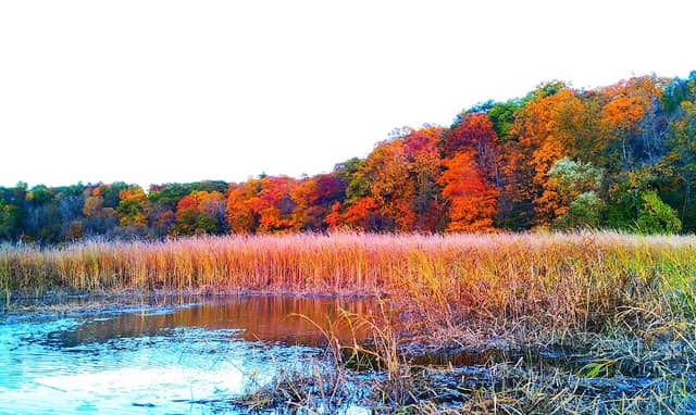 South Bay Creek - Image 1