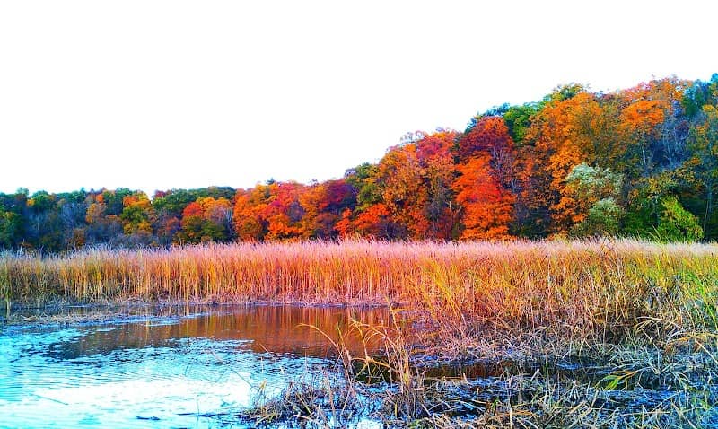 South Bay Creek - Image 1