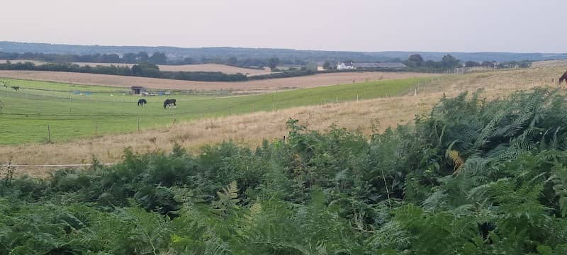 Field new lane - Image 1