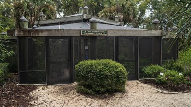 KAREN WERTHEIMER BUTTERFLY HABITAT - Image 1