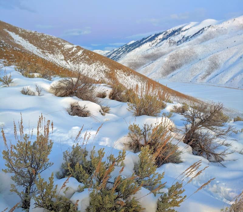 Buttercup Hill Trail Head - Image 1