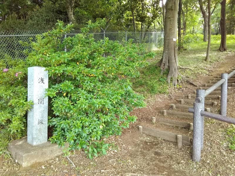 Asama Hill - Image 2