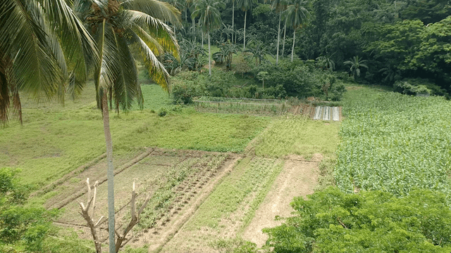 Fatima Center Demo Farm - Image 1