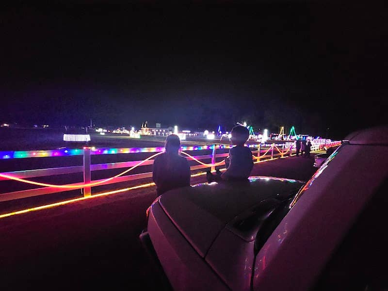 Lights on Elm - Image 3
