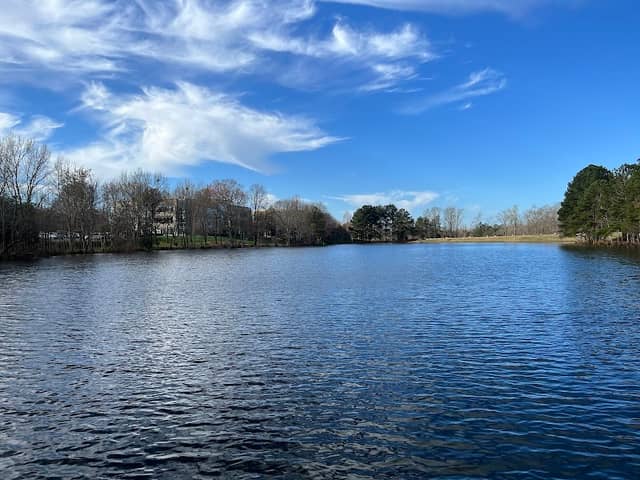 Kingsley Park - Image 1