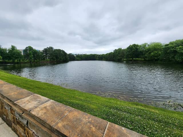 Kingsley Park - Image 2