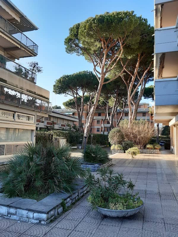 Ronchi di Massa C 1 - Image 2