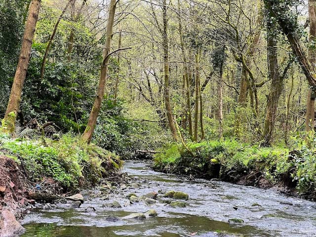 Derriaghy Glen Linear Park - Image 1