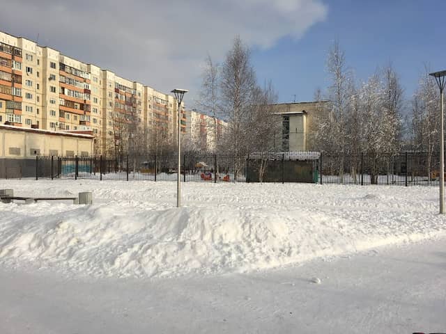 Alleya - Image 1