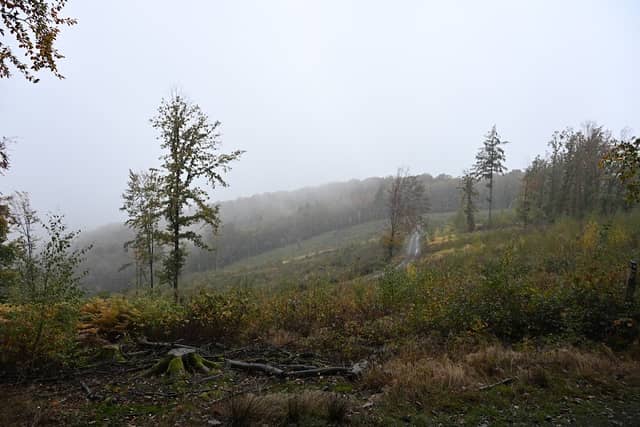 Hopfenberg - Image 2