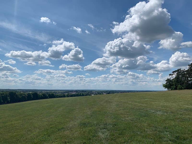 Warren Hill Gallops - Image 2