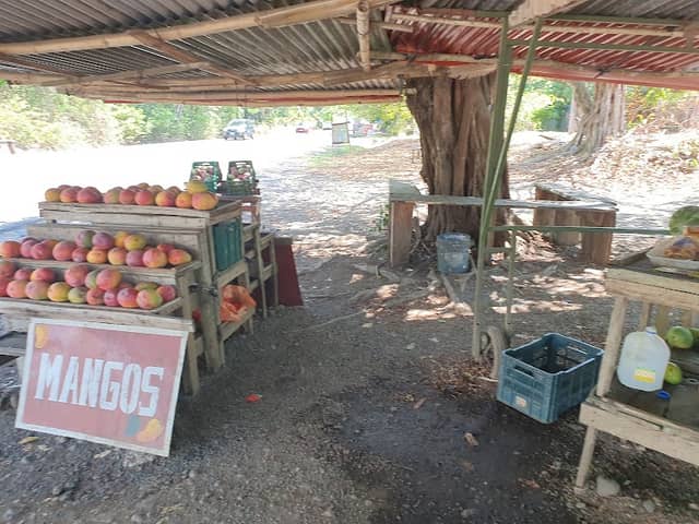 Frutera Sandra - Image 1