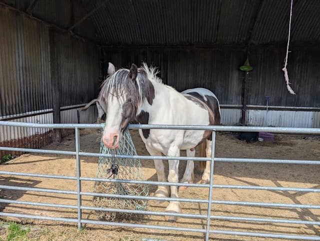 Appleby Street Farm - Image 2