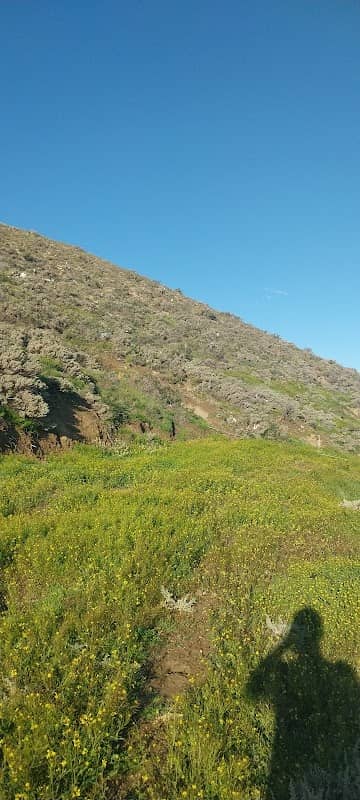 Chacra Don Nicolas - Image 2