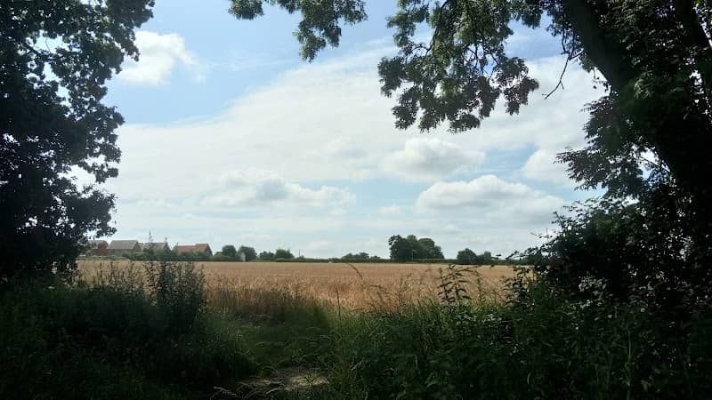 Chiroptera Pond - Image 1