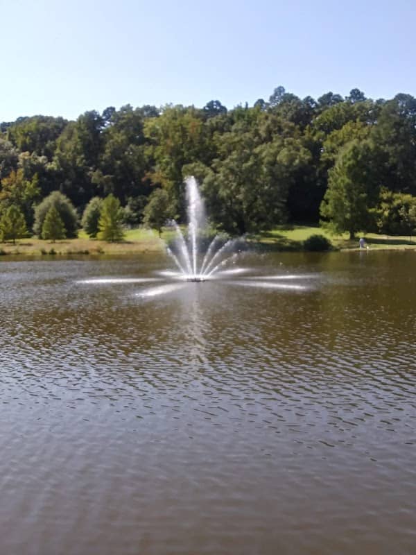 Veterans Park - Image 2