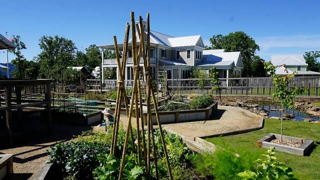 Carlton Landing Community Garden - Image 1