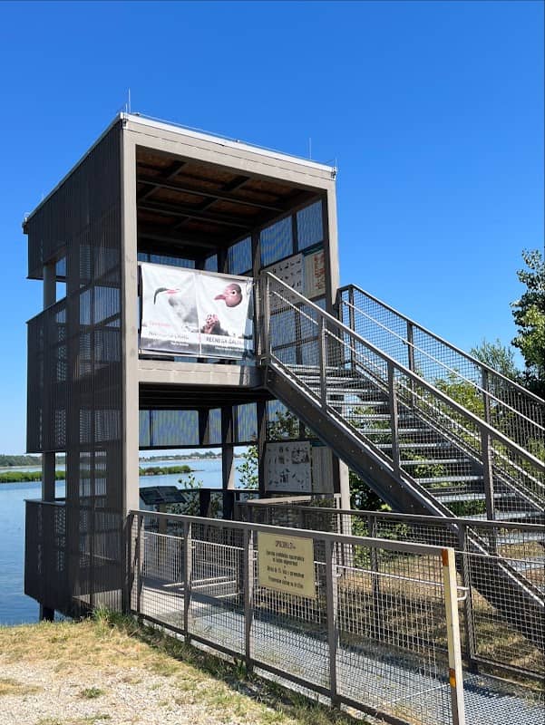Birding platform Lake Ptuj - Image 2