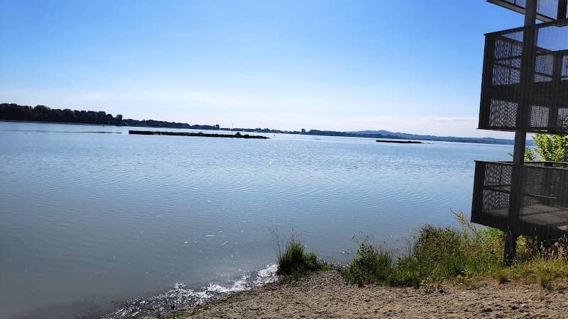 Birding platform Lake Ptuj - Image 1