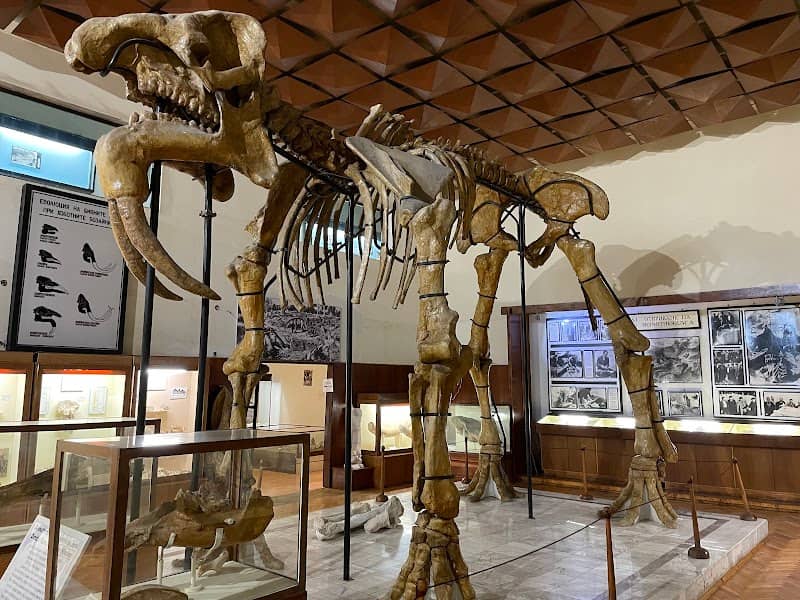 Paleontological Museum of Asenovgrad - Image 1