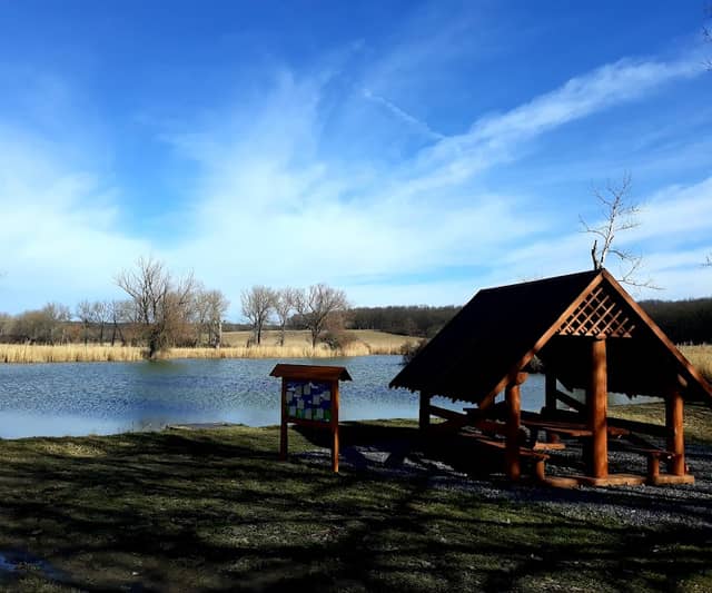 Zámostský rybník - Image 1