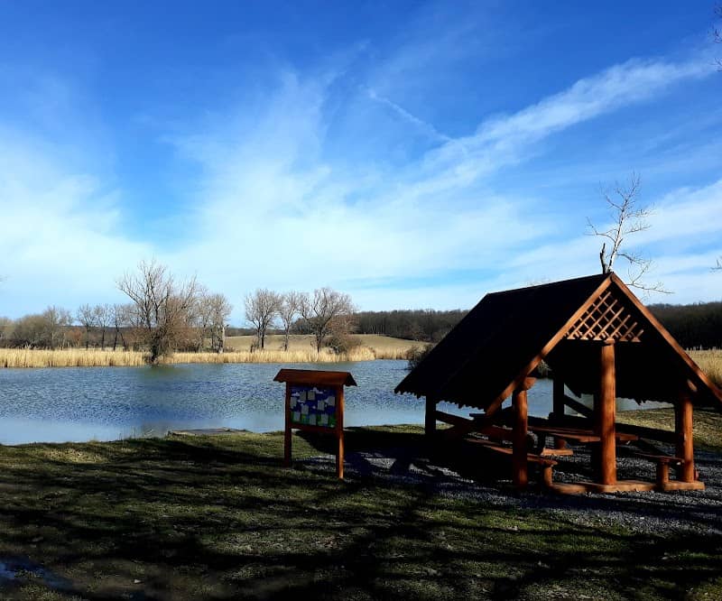 Zámostský rybník - Image 1