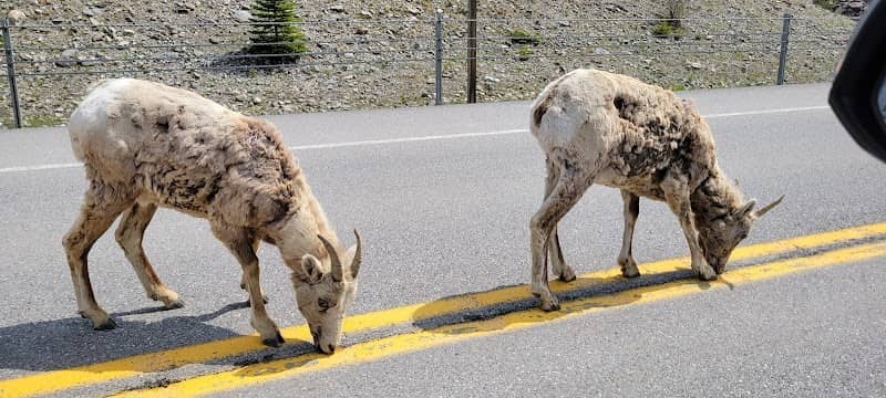 Grizzly Peak Trail Head - Image 2