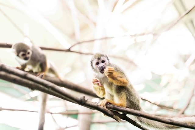 Riverview Park & Zoo - Image 1