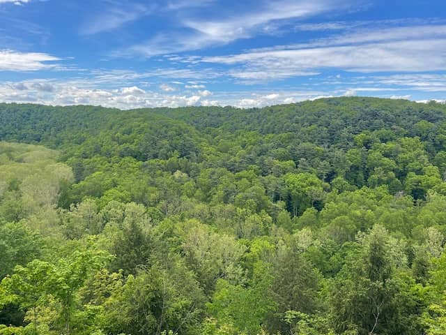 George Overlook Trail - Image 1