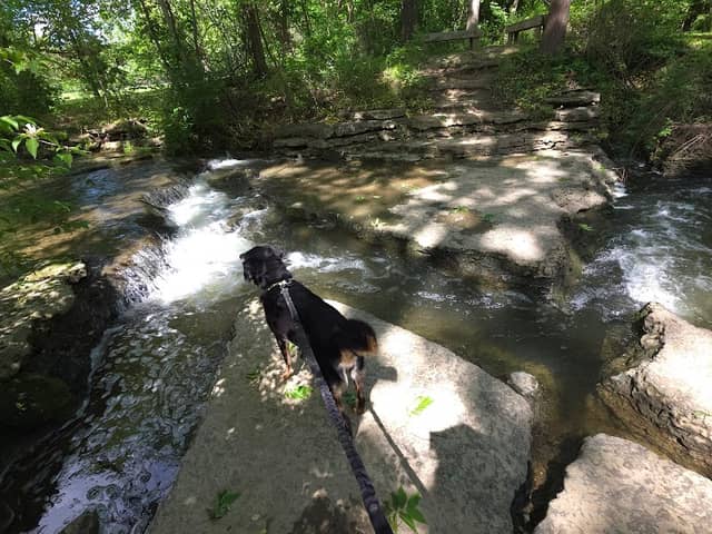 Little Hunting Creek Park - Image 1